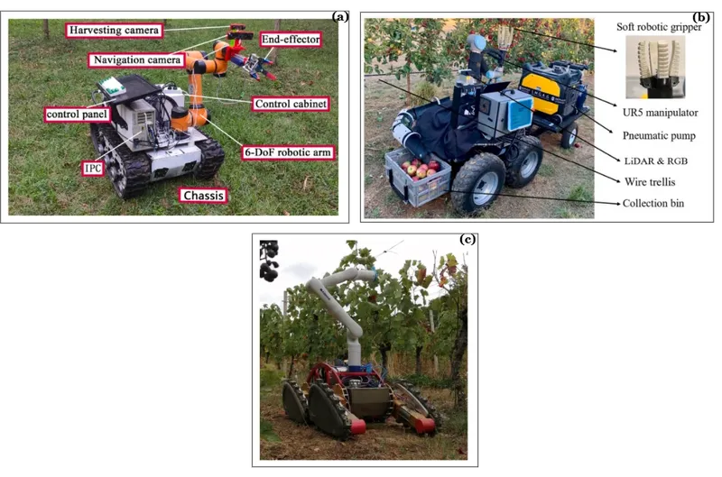 Agricultural mobile manipulators covered in the review (Figure 11). Sources: Chen et al. 2024b; Yuan et al. 2022; Wang et al. 2023a.